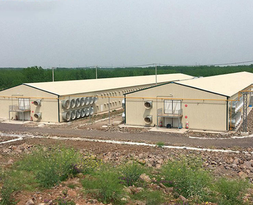 Modern Light Ventilated Insulated Steel Structure Chicken Coop High Efficiency Poultry Farming House Commercial Breeding