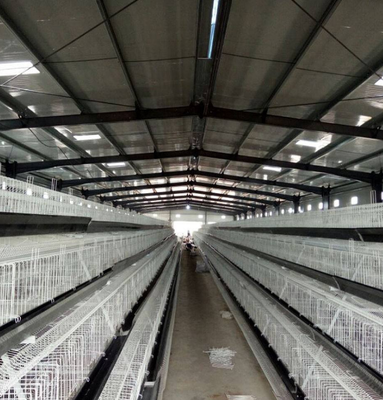 Prefabricated Steel Structure Poultry Farm Poultry Control Shed Construction Building For Chicken